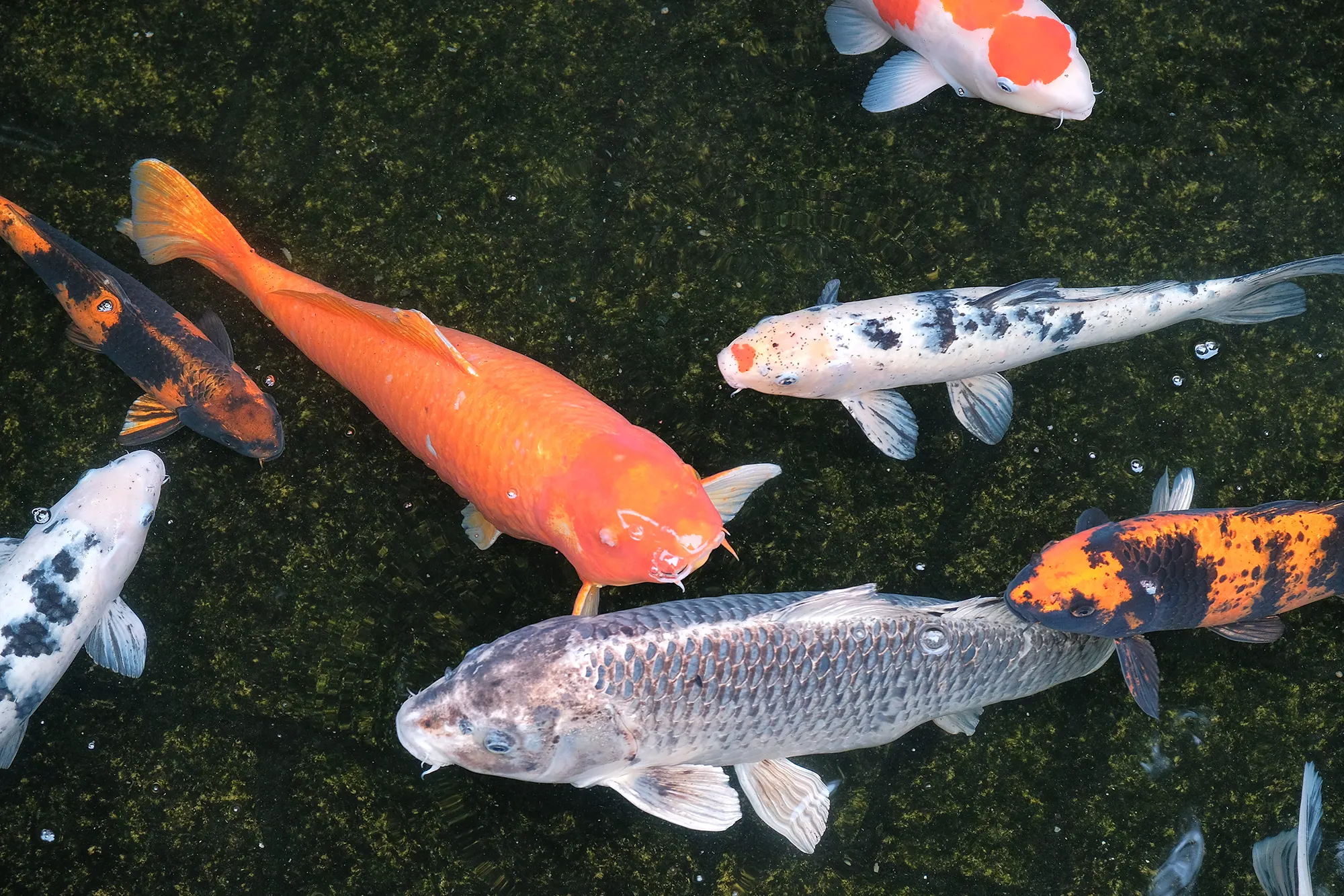 戸田光祐 作品集 デザイン アート｜KOHSUKE TODA PORTFOLIO Design Artwork｜株式会社トーハン 物語の自動販売機 プロダクトデザイン 工業デザイン